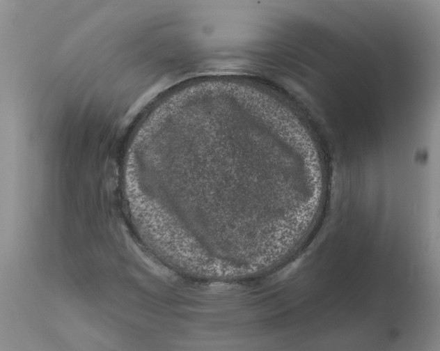 X0000112391449200909101359