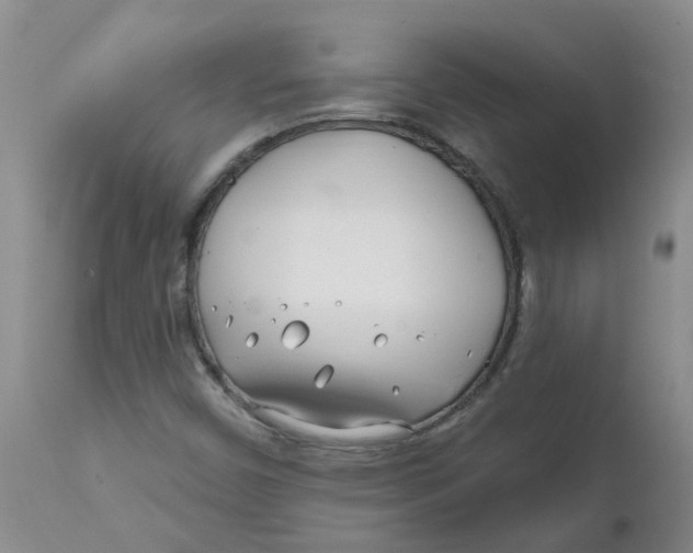 X0000112391450200909101359