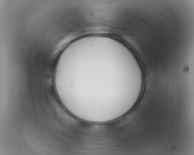 X0000112391451200909101359
