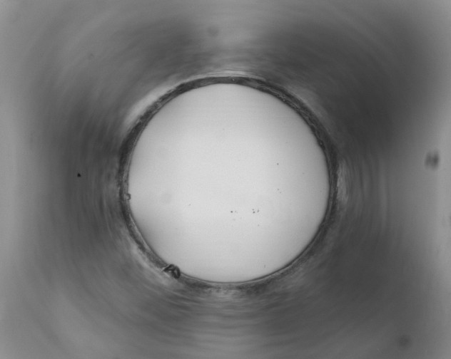 X0000112391452200909101359