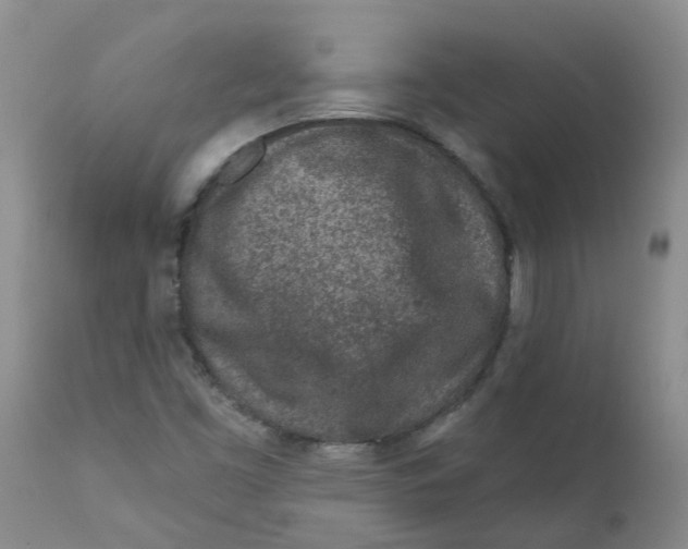 X0000112391453200909101359