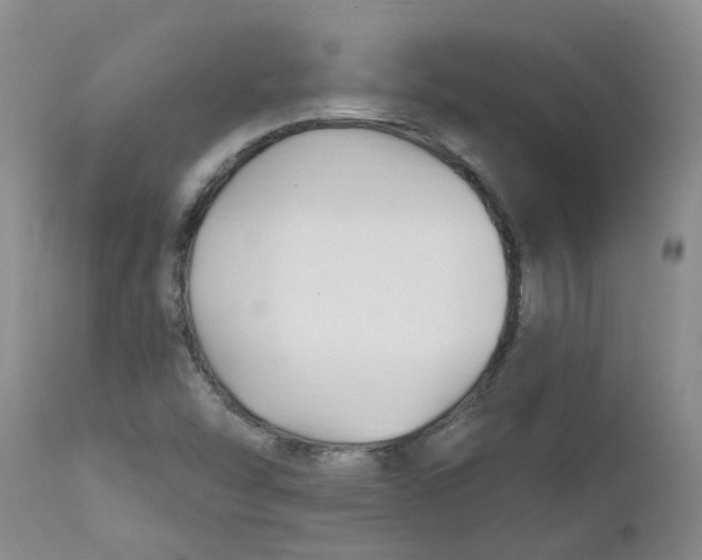 X0000112391454200909101359