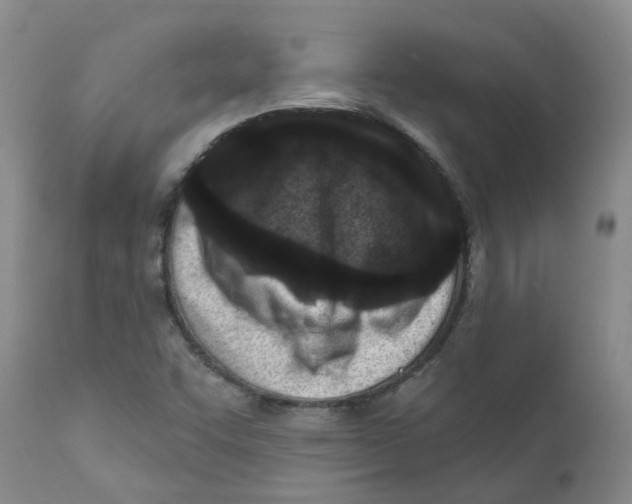 X0000112391455200909101359