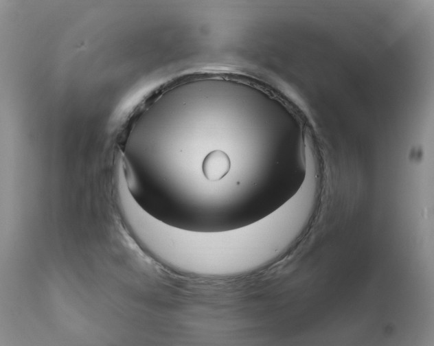 X0000112391456200909101359