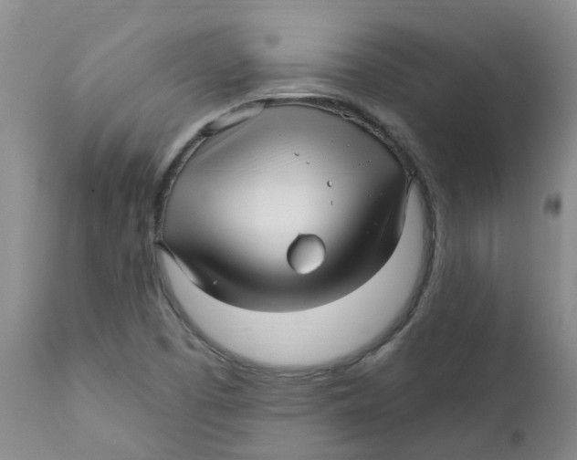 X0000112391457200909101359