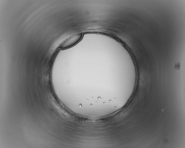 X0000112391458200909101359