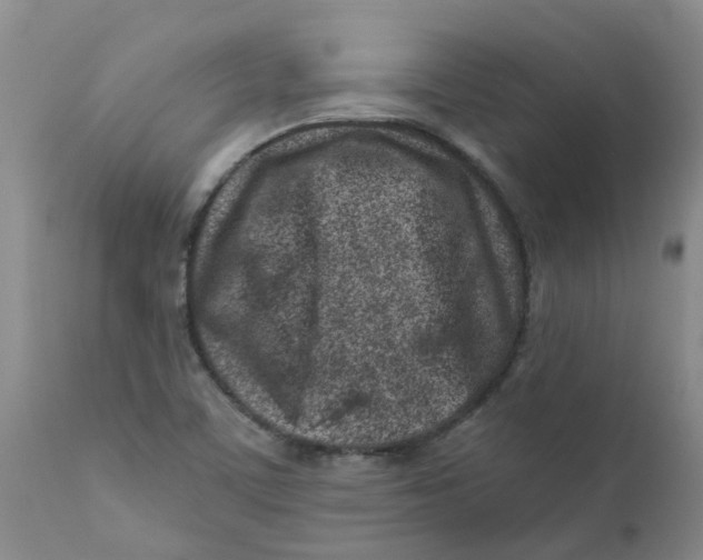 X0000112391459200909101359