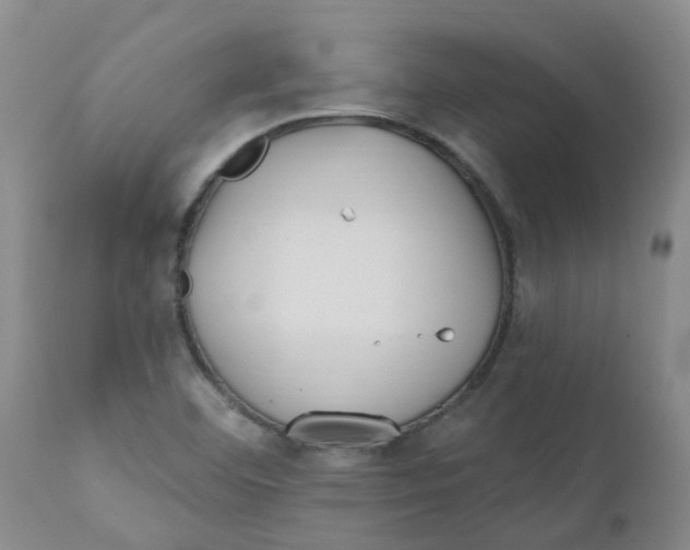 X0000112391460200909101359