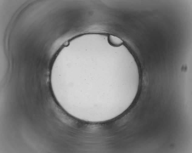 X0000112391461200909101359