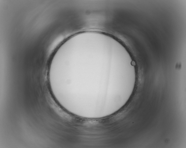 X0000112391462200909101359