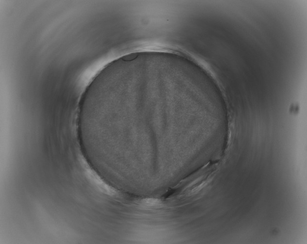 X0000112391463200909101359