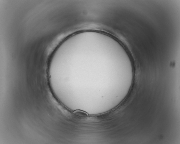 X0000112391464200909101359
