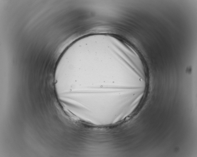 X0000112391465200909101359