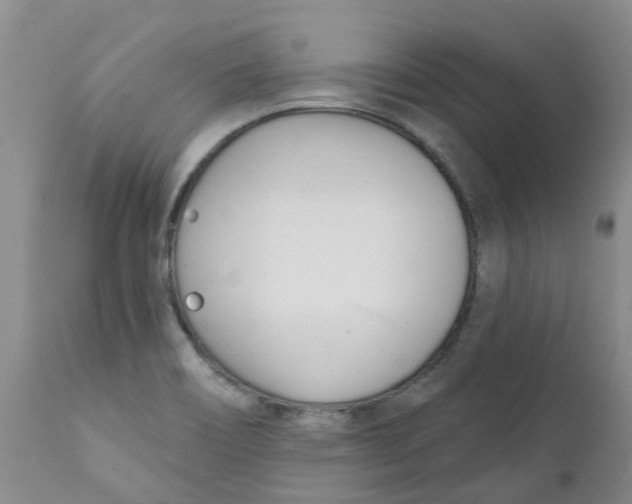 X0000112391466200909101359