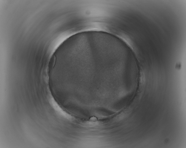 X0000112391468200909101358