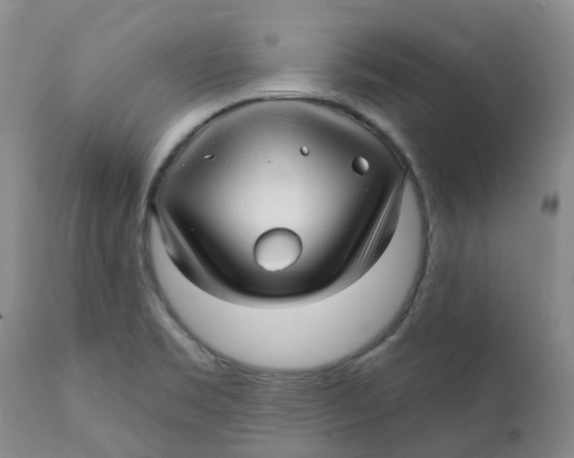 X0000112391469200909101358