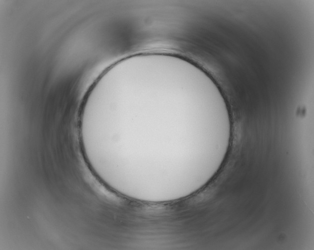 X0000112391470200909101358
