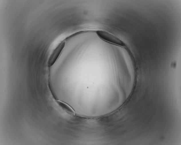 X0000112391472200909101358