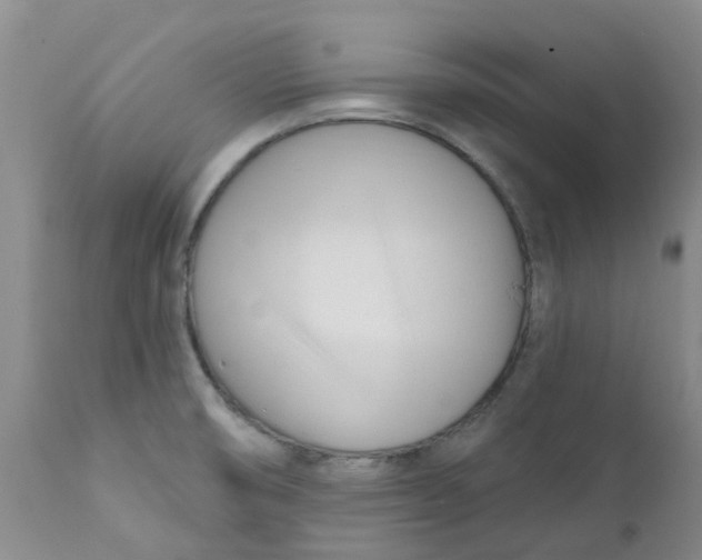 X0000112391474200909101358