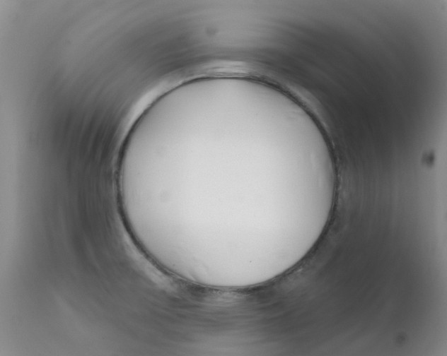 X0000112391475200909101358