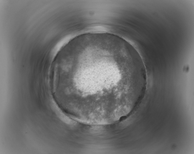 X0000112391477200909101358