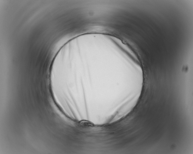 X0000112391479200909101358
