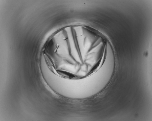 X0000112391480200909101358