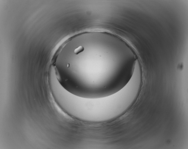 X0000112391484200909101358