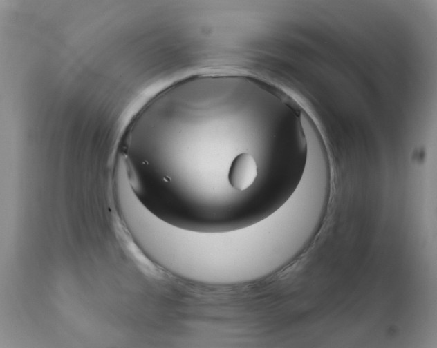 X0000112391485200909101358