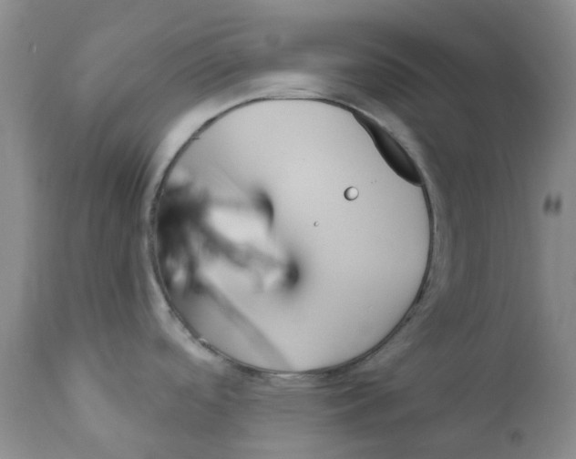 X0000112391488200909101358