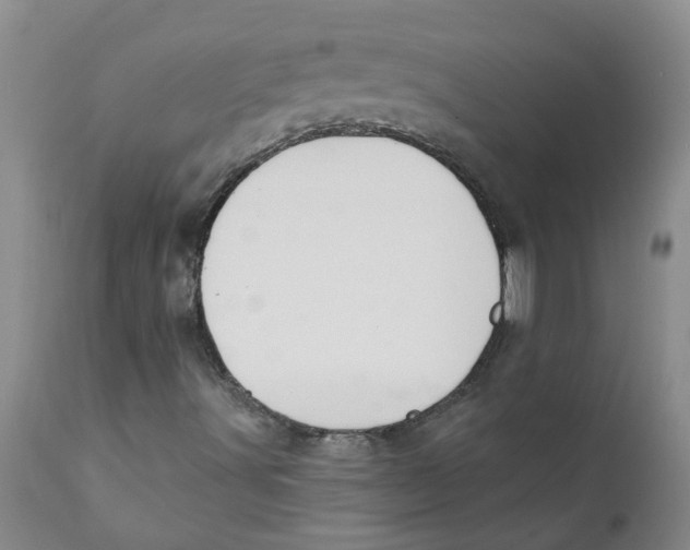 X0000112391491200909101358