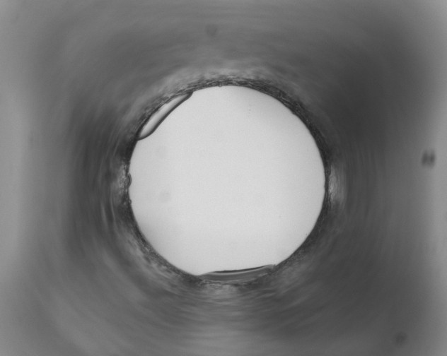 X0000112391492200909101358