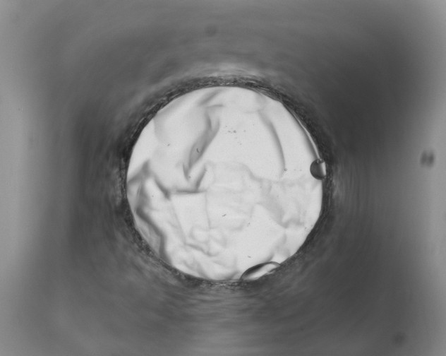 X0000112391493200909101358