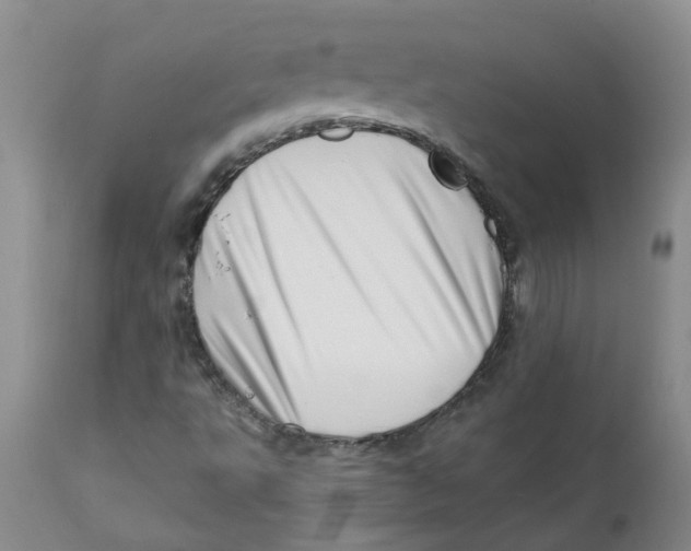 X0000112391495200909101358