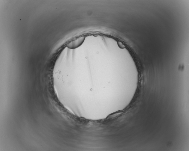 X0000112391496200909101358