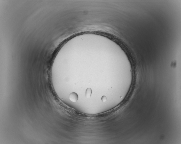 X0000112391497200909101358