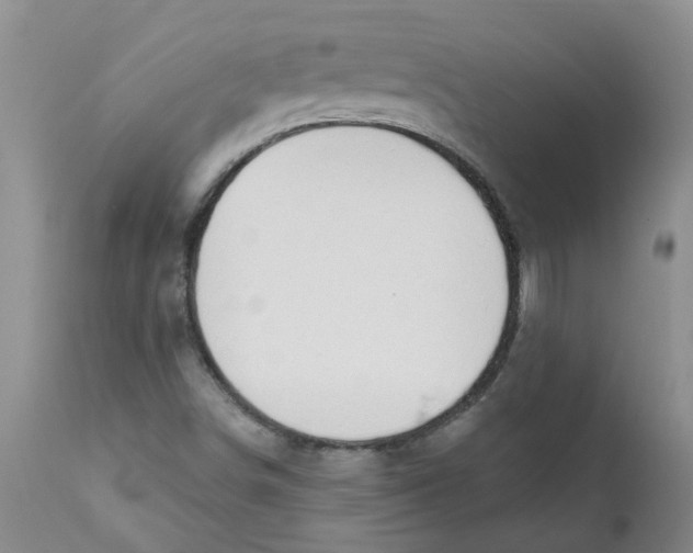 X0000112391498200909101358