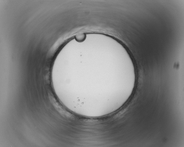 X0000112391499200909101358