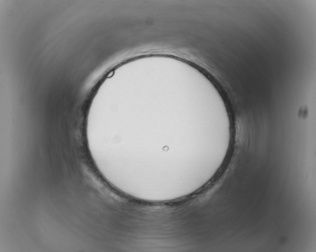 X0000112391502200909101358