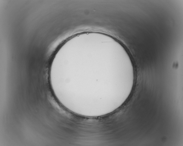 X0000112391503200909101358