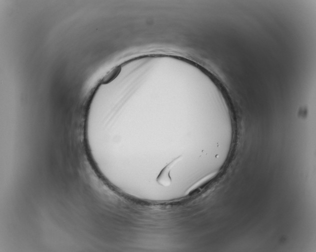 X0000112391504200909101358