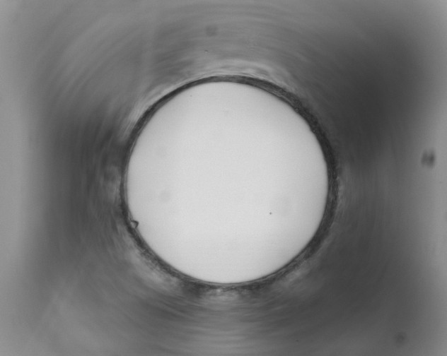X0000112391505200909101358