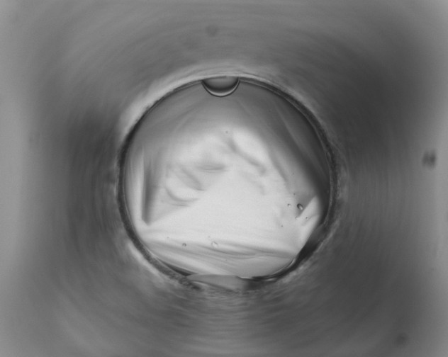 X0000112391508200909101358