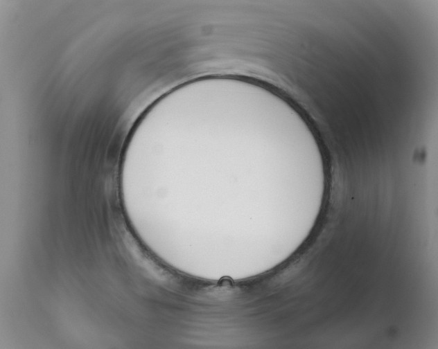 X0000112391513200909101358