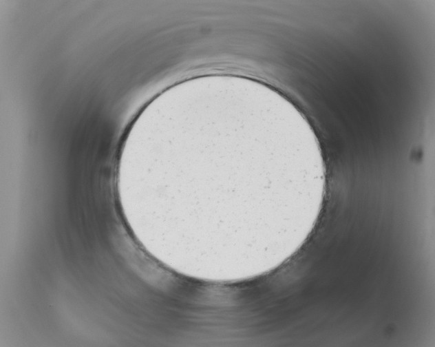 X0000112391514200909101358
