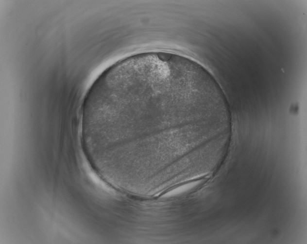 X0000112391515200909101358