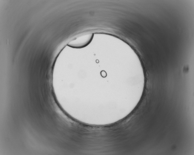 X0000112391516200909101358