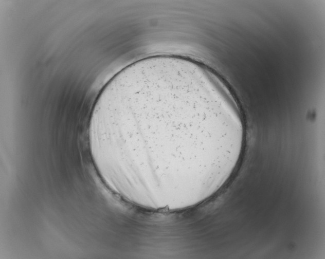 X0000112391521200909101358