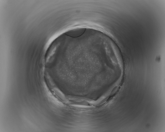 X0000112391522200909101358