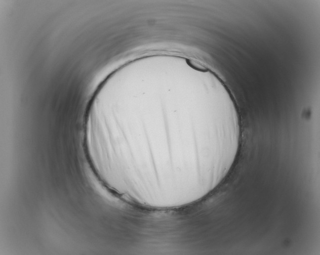 X0000112391523200909101358